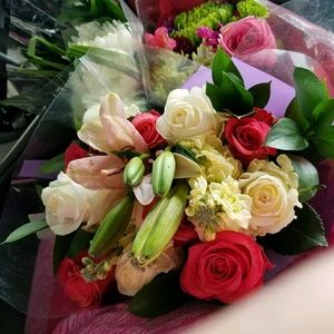 Meet your Posher, Theresa